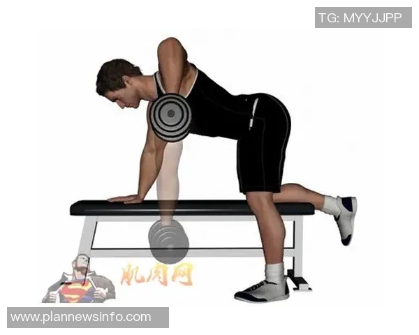 哑铃划船锻炼的主要肌肉群及其对身体的全面影响分析